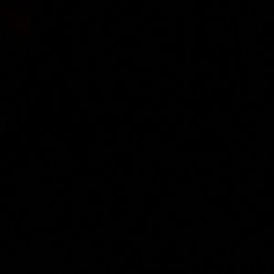 Meet your Posher, Laroya