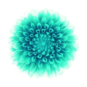 Meet your Posher, Ryley