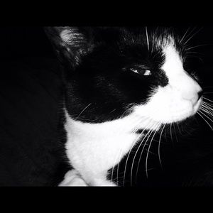 Meet your Posher, Aliyah