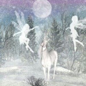 Meet your Posher, Aggie