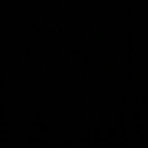 Meet your Posher, Acea