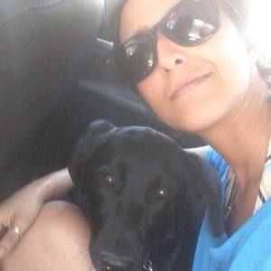 Meet your Posher, Tassi osman