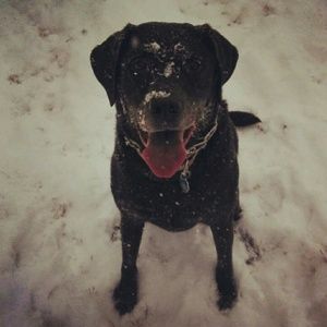 Meet your Posher, Jennifwr