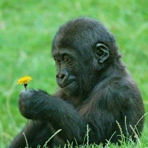 Meet your Posher, Abigail