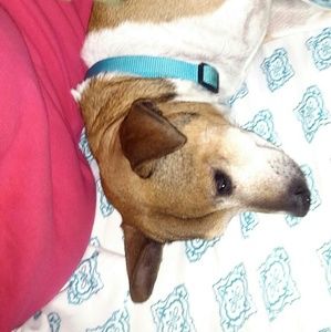 Meet your Posher, Katee