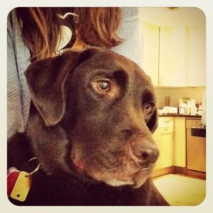 Meet your Posher, Lisa