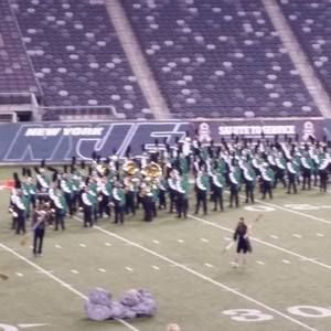 Meet your Posher, Michelle putrino