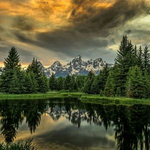 Meet your Posher, Jaime