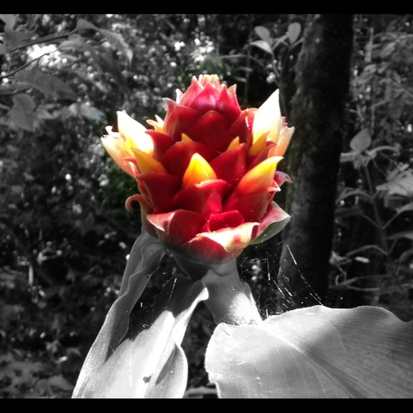 Meet your Posher, Riley