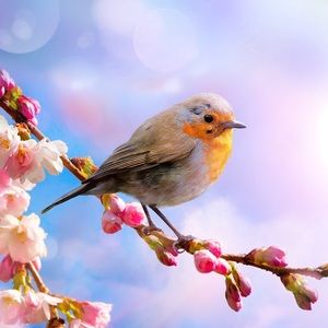 Meet your Posher, Candice