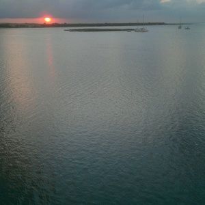 Meet your Posher, Martha