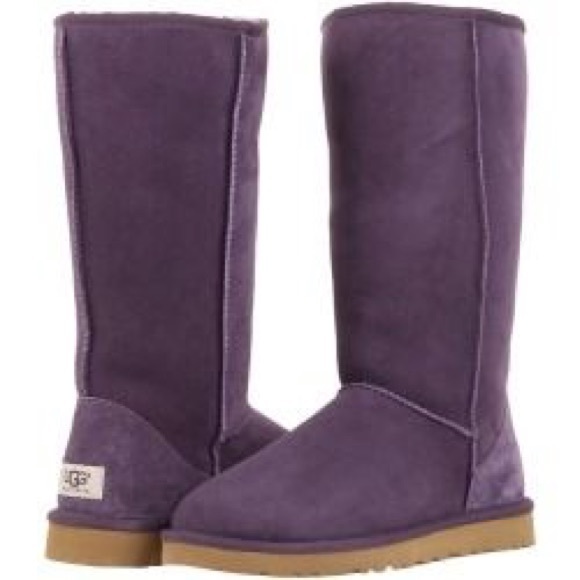 NWOT UGGS Tall Dark Purple