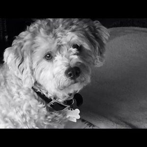 Meet your Posher, Ana