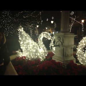 Meet your Posher, Grace