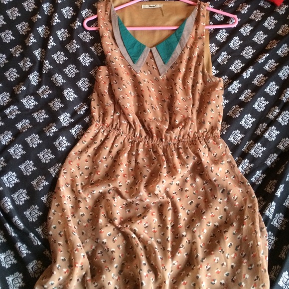 Collar dress