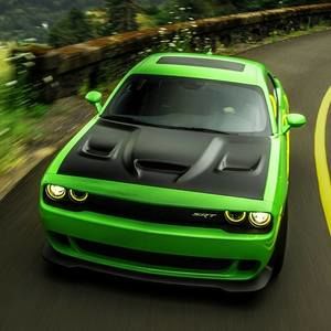 Meet your Posher, Noah