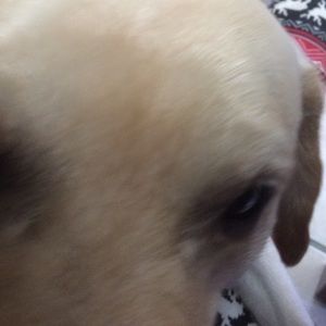 Meet your Posher, Ray a