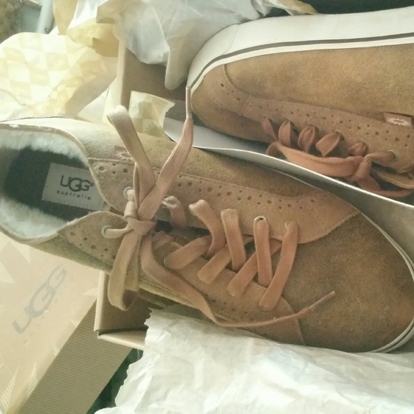 Mens UGGs