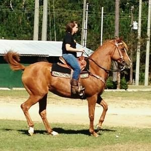 Meet your Posher, Candice