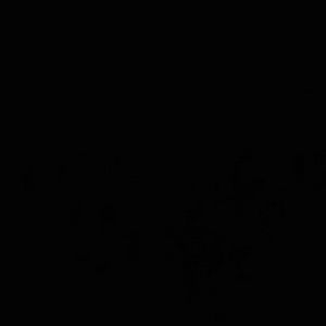 Meet your Posher, Kiara