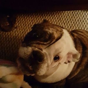 Meet your Posher, Heather