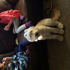 Meet your Posher, Justina