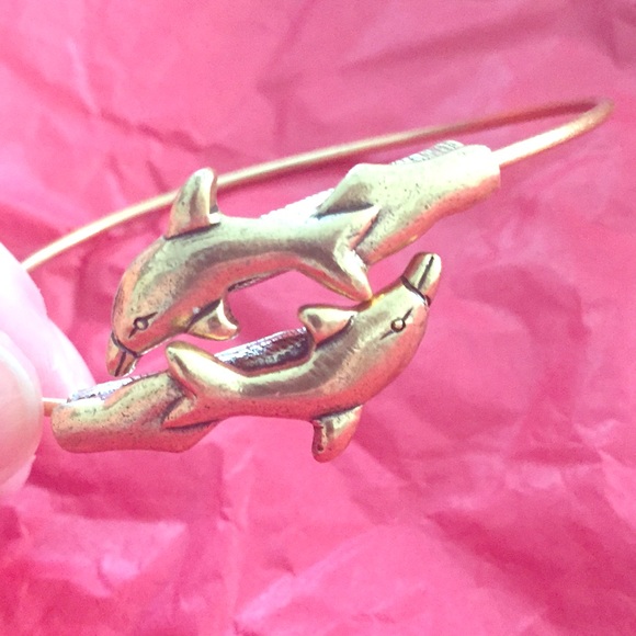 Alex and Ani Dolphin wrap