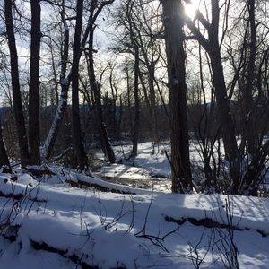 Meet your Posher, Ladeana