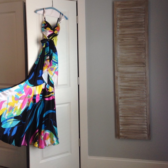 Cache formal prom dress - Picture 2 of 4