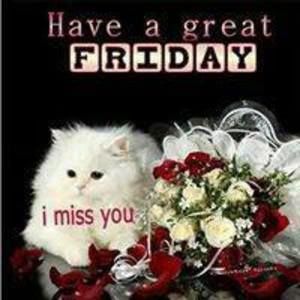 Meet your Posher, Chantal