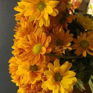 Meet your Posher, Aimee