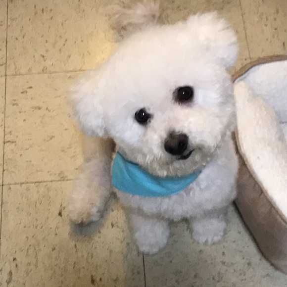 Meet your Posher, Johnson - Picture 6 of 8