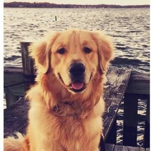 Meet your Posher, Missy