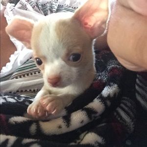 Meet your Posher, Lori