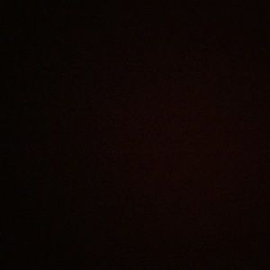 Meet your Posher, Tessa