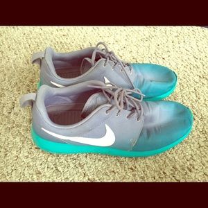 Nike Roshe Run Blue Ombré