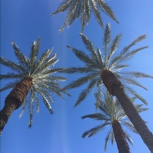 Meet your Posher, Kristin