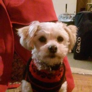 Meet your Posher, Julie