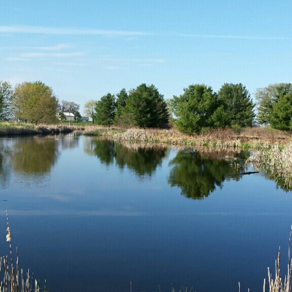 Meet your Posher, Paula - Picture 1 of 1