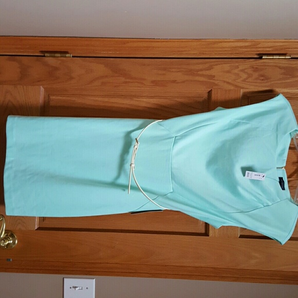 The Limited Mint green Sheath Dress