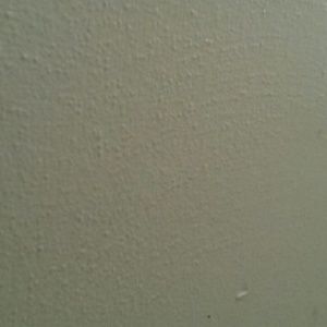 Meet your Posher, Daniela