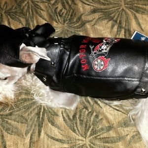 Small Dog clothes/sweaters