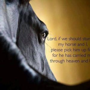 Meet your Posher, Kristina