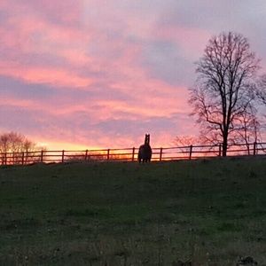 Meet your Posher, Alexandra