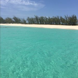 Meet your Posher, Sydney