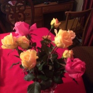 Meet your Posher, Robin