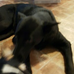 Meet your Posher, Austin