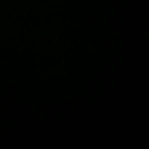 Meet your Posher, Casandra