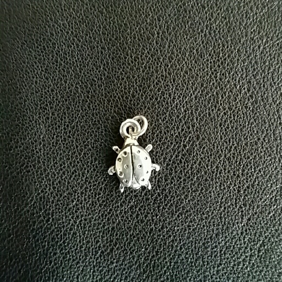 Cute as a bug! Ladybug charm.