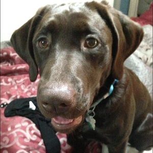 Meet your Posher, Stephani